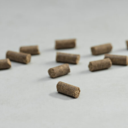 PRINS PROCARE MINI RESIST CALM COLD PRESSED KIBBLE