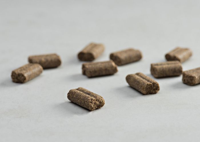 PRINS SPORTCARE RUNNING TRAIL COLD PRESSED KIBBLE