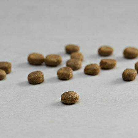 PRINS VITALCARE HAIR SKIN KIBBLE DOGGER.GR