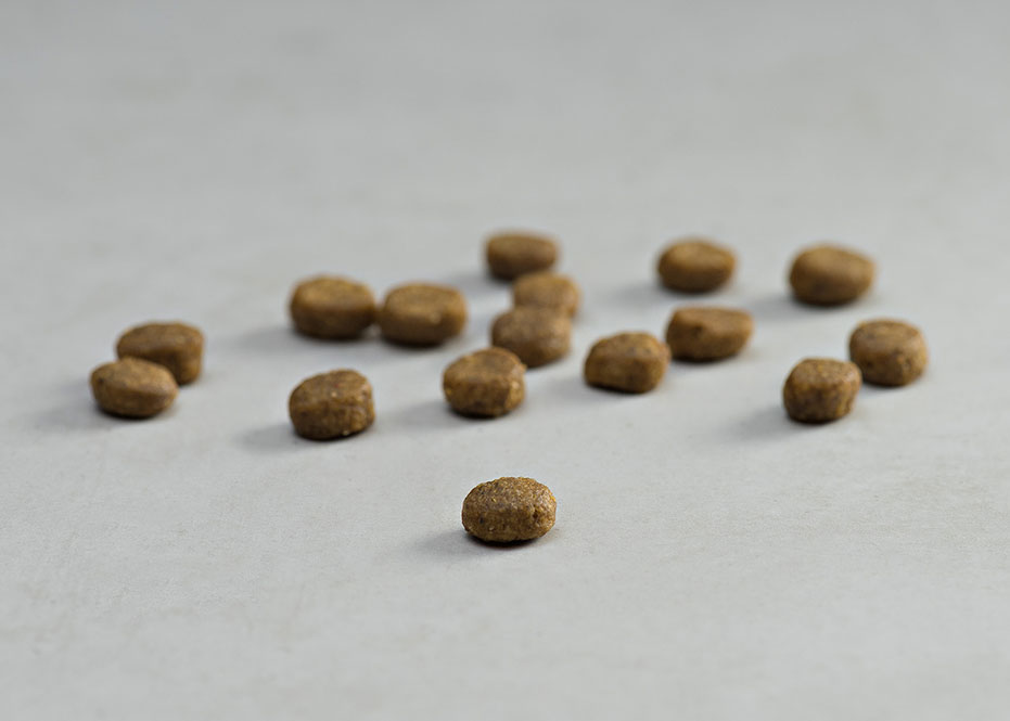 PRINS VITALCARE HAIR SKIN KIBBLE DOGGER.GR