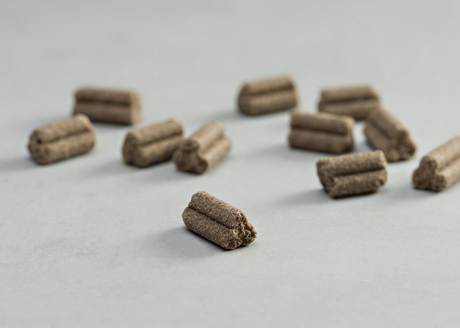 PRINS PROCARE GRAIN FREE SENIOR FIT COLD PRESSED KIBBLE