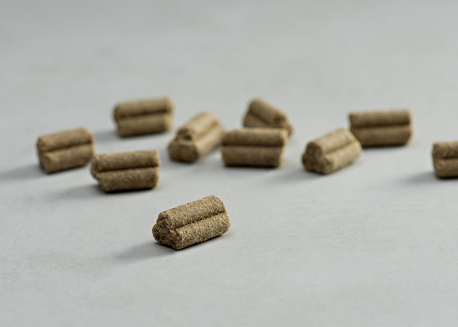 PRINS PROCARE GRAIN FREE SENSIBLE HYPOALLERGENIG ΨΥΧΡΗΣ ΕΚΘΛΙΨΗΣ ΞΗΡΑ ΤΡΟΦΗ ΣΚΥΛΟΥ DOGGER.GR