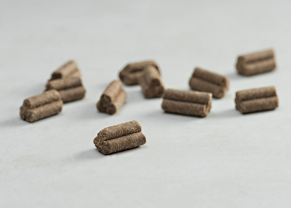 PRINS PROCARE GRAIN FREE SKIN COAT COLD PRESSED KIBBLE DOGGER.GR