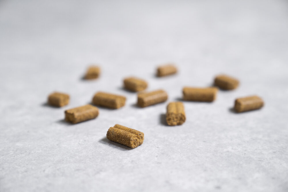 PRINS PROCARE HYPOALLERGENIC HERRING RICE COLD PRESSED KIBBLE