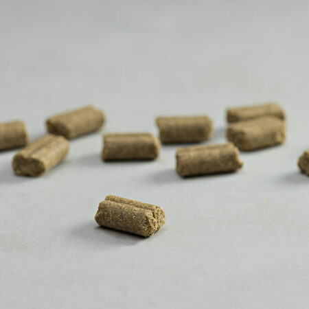 PRINS PROCARE HYPOALLERGENIC LAMB RICE COLD PRESSED KIBBLE DOGGER.GR