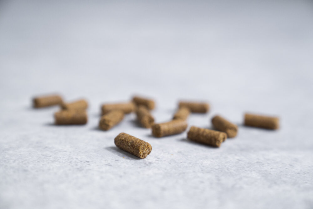 PRINS PROCARE MINI HYPOALLERGENIC HERRING RICE COLD PRESSED KIBBLE