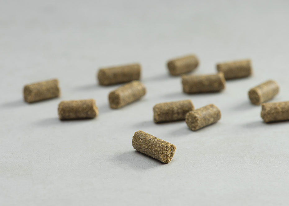 PRINS PROCARE MINI LAMB RICE HYPOALLERGENIC COLD PRESSED KIBBLE