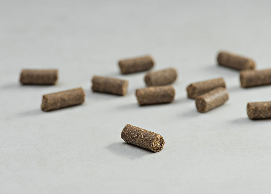PRINS PROCARE MINI SUPER ACTIVE COLD PRESSED KIBBLE DOGGER.GR