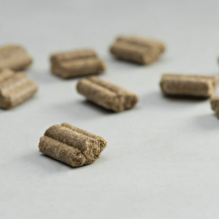 PRINS PROCARE PROTECTION SENIOR FIT COLD PRESSED KIBBLE