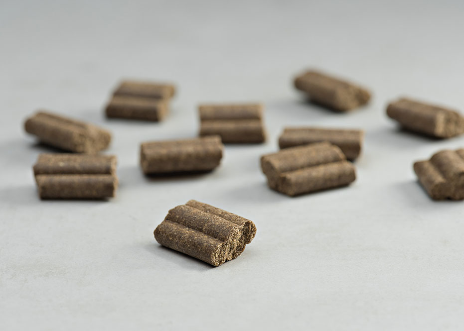 Ψυχρής έκθλιψης τροφές σκύλου