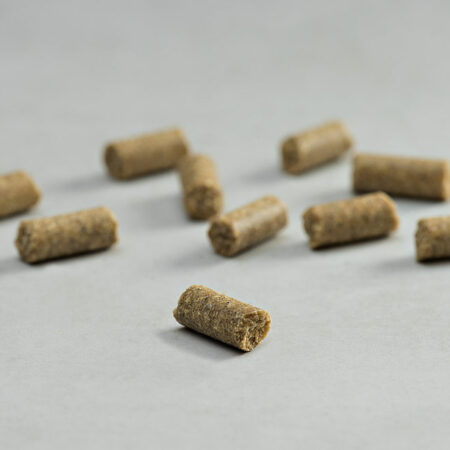 PRINS PROCARE SENIOR SUPPORT MINI COLD PRESSED KIBBLE