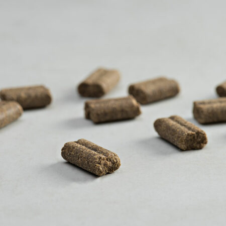 PRINS PROCARE SUPER ACTIVE COLD PRESSED KIBBLE DOGGER.GR