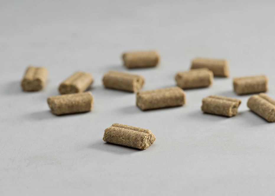 PRINS PROCARE SUPPORT SENIOR COLD PRESSED KIBBLE