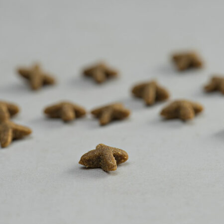 PRINS VITALCARE INDOOR KIBBLE DOGGER.GR