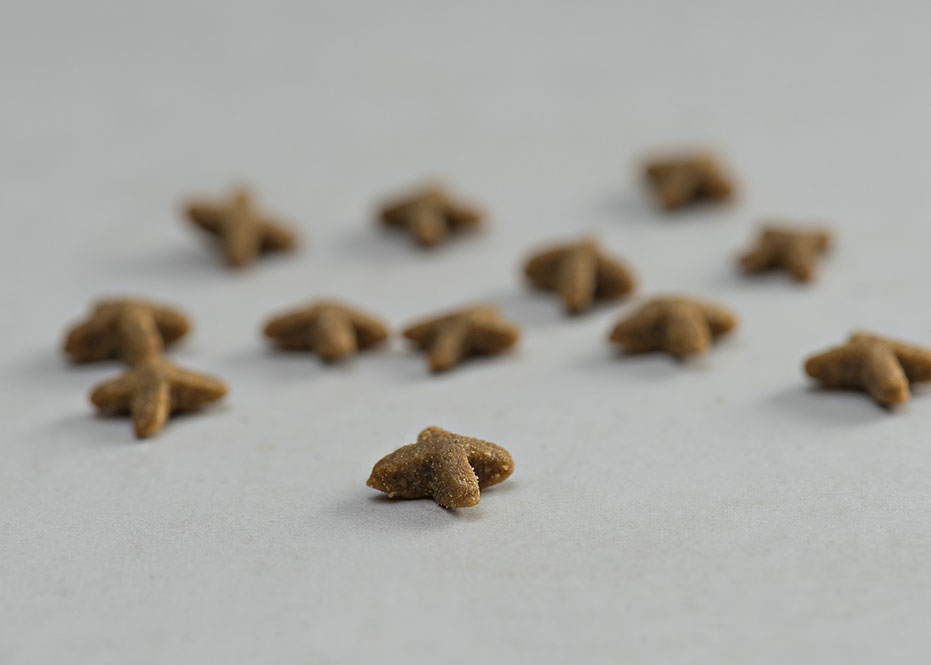 PRINS VITALCARE INDOOR KIBBLE DOGGER.GR