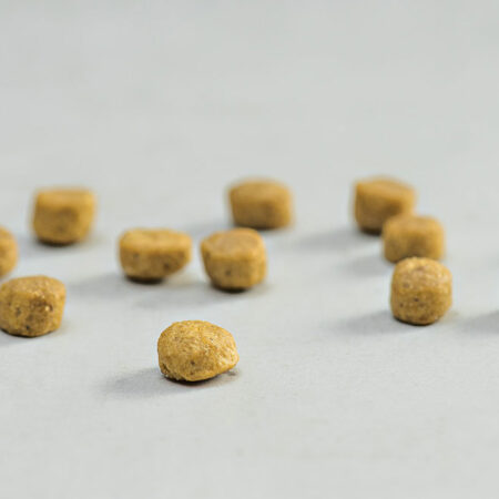 PRINS VITALCARE PROTECTION INDOOR KIBBLE DOGGER.GR