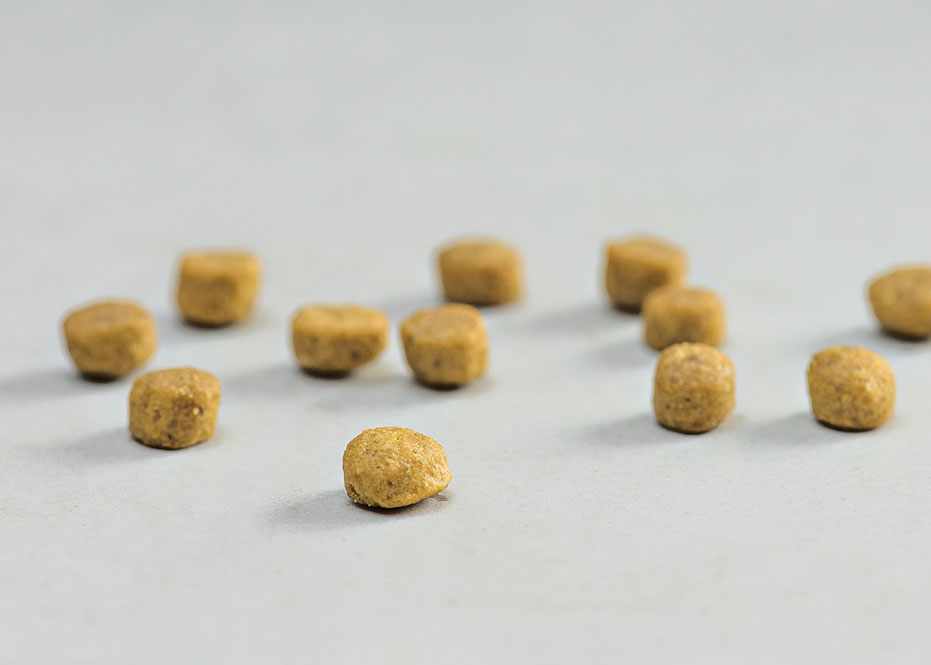 PRINS VITALCARE PROTECTION INDOOR KIBBLE DOGGER.GR