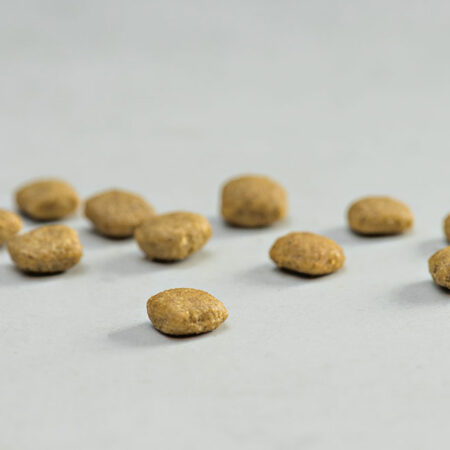 PRINS VITALCARE PROTECTION SENIOR KIBBLE DOGGER.GR