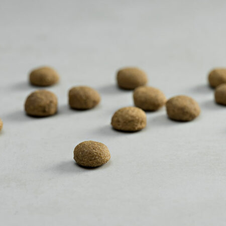 ΚΛΙΝΙΚΕΣ ΤΡΟΦΕΣ ΣΚΥΛΟΥ DOGGER.GR