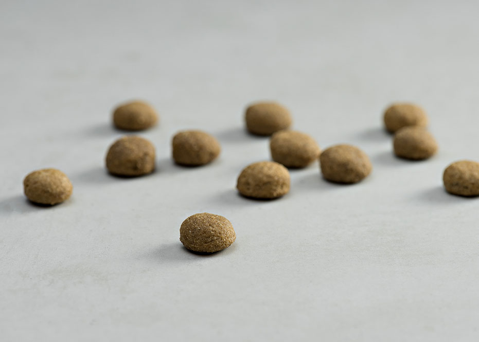 ΚΛΙΝΙΚΕΣ ΤΡΟΦΕΣ ΣΚΥΛΟΥ DOGGER.GR