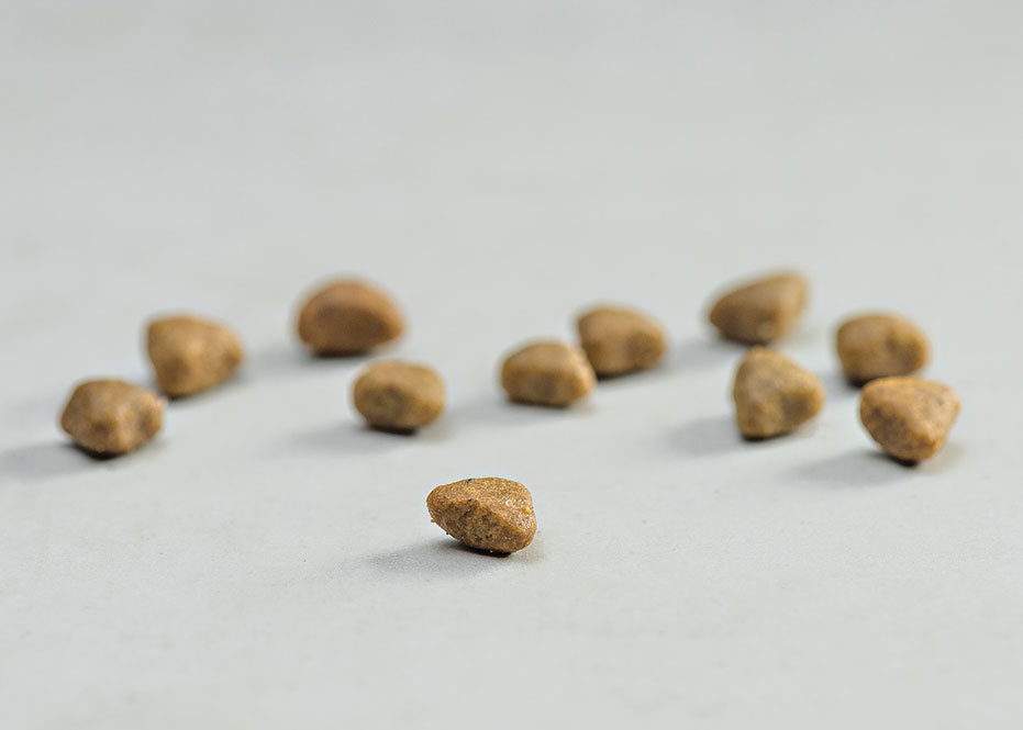 PRINS VITALCARE PROTECTION SENSIBLE GRAIN FREE HYPOALLERGENIC KIBBLE