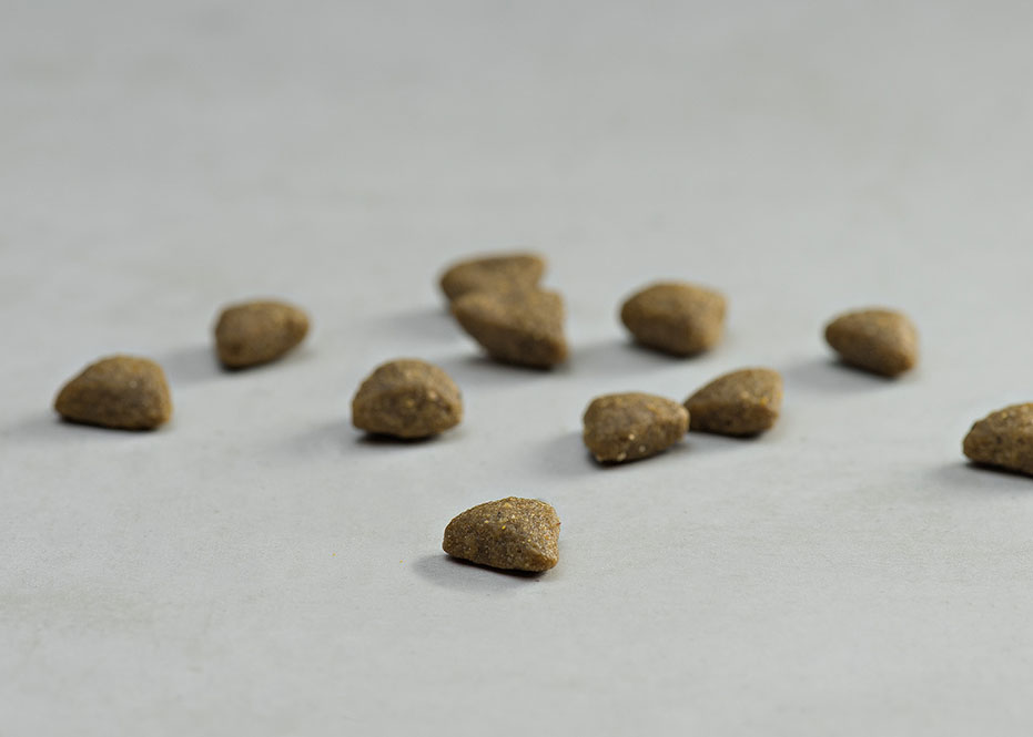 PRINS VITALCARE SENSITIVE HYPOALLERGENIC CAT KIBBLE