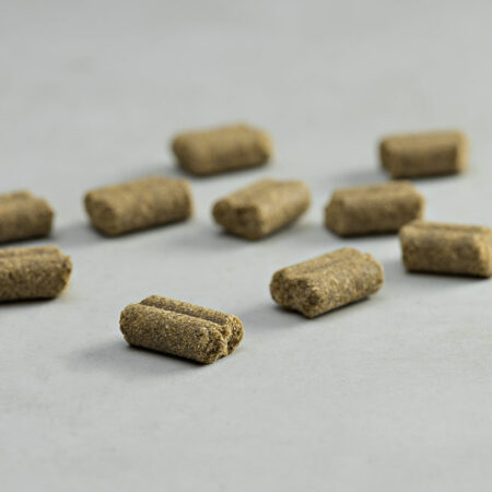 PRINS PROCARE HYPOALLERGENIC SENIOR LAMB RICE KIBBLE DOGGER.GR