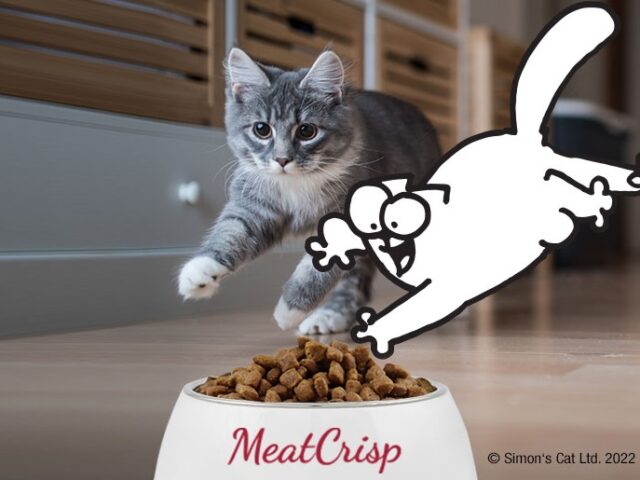 PLATINUM MEATCRISP ΟΙ ΠΙΟ ΝΟΣΤΙΜΕΣ ΘΡΕΠΤΙΚΕΣ ΕΥΠΕΠΤΕΣ ΤΡΟΦΕΣ ΓΑΤΑΣ ΜΕ 83 ΤΟΙΣ ΕΚΑΤΟ ΦΡΕΣΚΟ ΚΡΕΑΣ DOGGER.GR