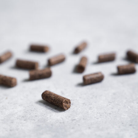 PRINS PROCARE MINI STANDARD FIT ΨΥΧΡΗΣ ΕΚΘΛΙΨΗΣ ΞΗΡΑ ΤΡΟΦΗ ΣΚΥΛΟΥ KIBBLE DOGGER.GR