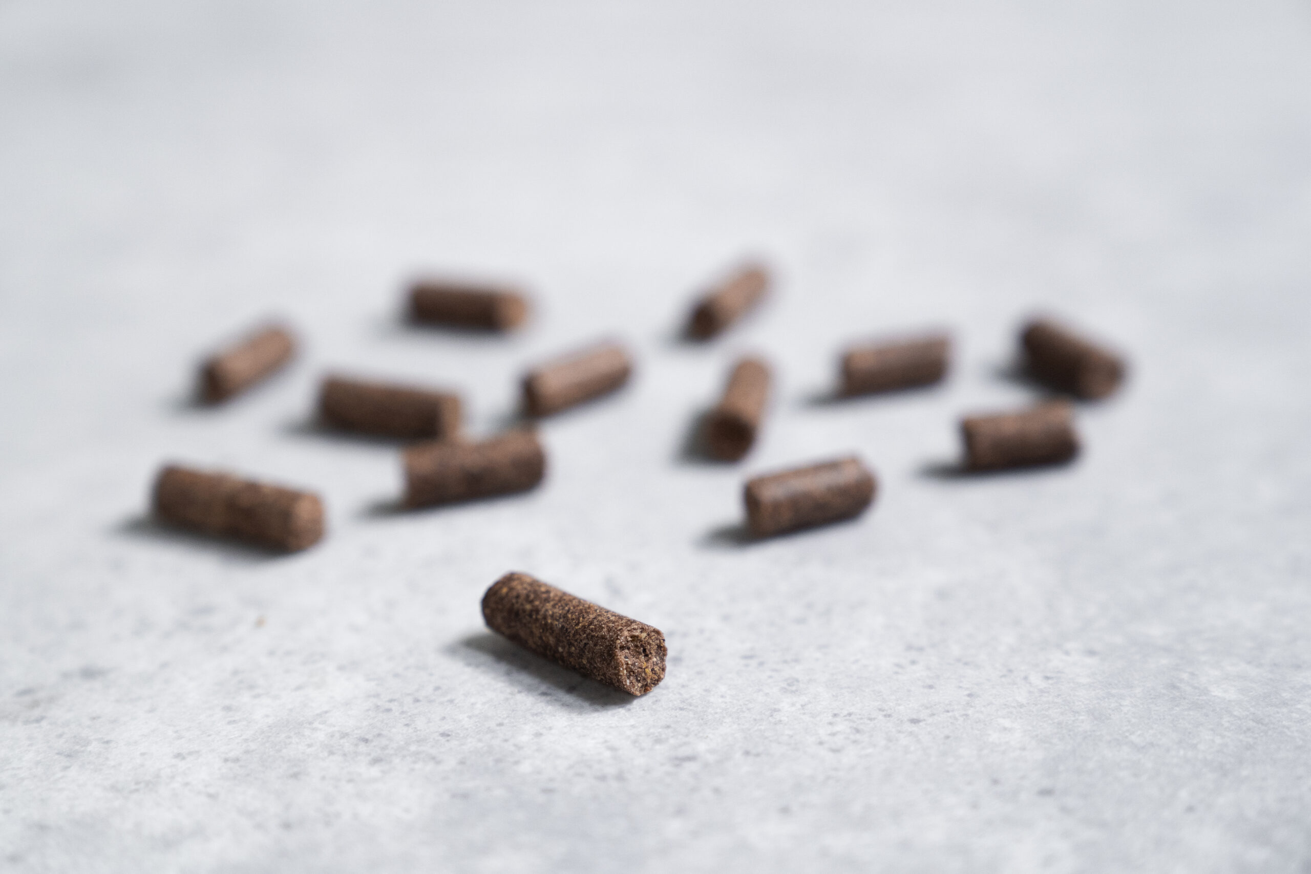 PRINS PROCARE MINI STANDARD FIT ΨΥΧΡΗΣ ΕΚΘΛΙΨΗΣ ΞΗΡΑ ΤΡΟΦΗ ΣΚΥΛΟΥ KIBBLE DOGGER.GR