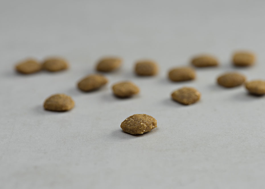 PRINS VITALCARE SENIOR ΞΗΡΑ ΤΡΟΦΗ ΓΙΑ ΥΠΕΡΗΛΙΚΕΣ ΓΑΤΕΣ DOGGER