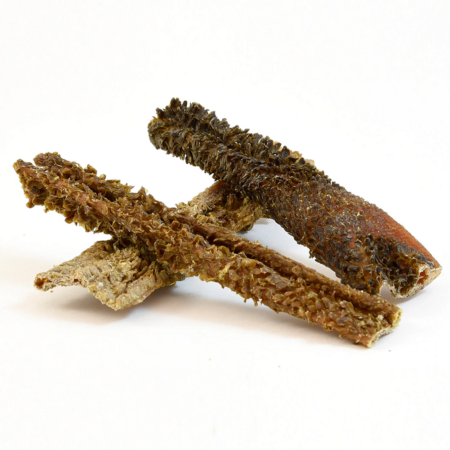 SANADOG LAMB TRIPE ΛΙΧΟΥΔΙΕΣ ΣΚΥΛΟΥ ΑΠΟΞΗΡΑΜΕΝΟΣ ΠΑΤΣΑΣ DOGGER