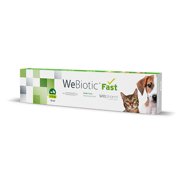 WEPHARM WEBIOTIC FAST SMALL BREEDS CATS ΣΥΜΠΛΗΡΩΜΑ ΔΙΑΤΡΟΦΗΣ ΜΕ ΠΡΟΒΙΟΤΙΚΑ ΣΚΥΛΟΥ ΓΑΤΑΣ DOGGER.GR