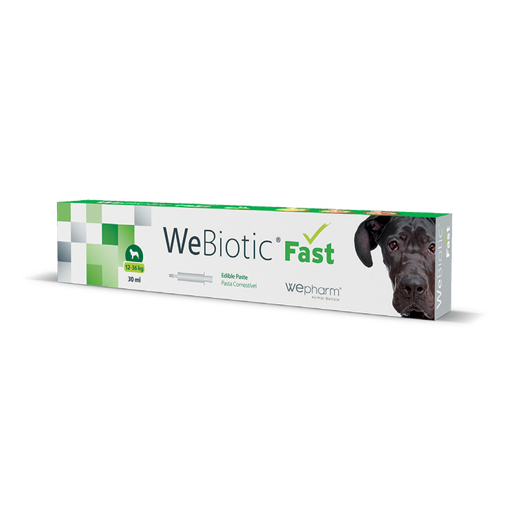 WEPHARM WEBIOTIC FAST ΣΥΜΠΛΗΡΩΜΑ ΔΙΑΤΡΟΦΗΣ ΣΚΥΛΟΥ ΜΕΣΑΙΟΥ ΜΕΓΕΘΟΥΣ ΜΕ ΠΡΟΒΙΟΤΙΚΑ DOGGER.GR