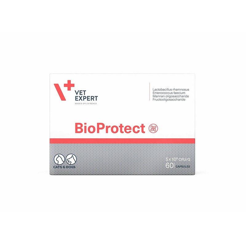 VET EXPERT BIOPROTECT ΣΥΜΠΛΗΡΩΜΑ ΔΙΑΤΡΟΦΗΣ ΣΚΥΛΟΥ ΓΑΤΑΣ ΜΕ ΠΡΟΒΙΟΤΙΚΑ ΠΡΕΒΙΟΤΙΚΑ DOGGER
