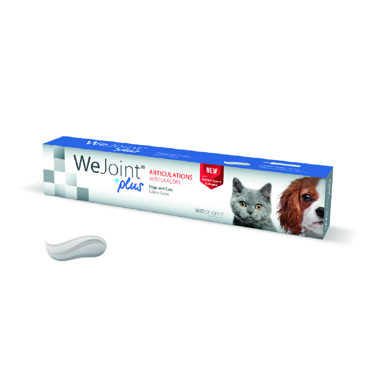 WEPHARM WEJOINT PLUS ΣΥΜΠΛΗΡΩΜΑ ΔΙΑΤΡΟΦΗΣ ΣΚΥΛΟΥ ΓΑΤΑΣ ΓΙΑ ΕΝΙΣΧΥΣΗ ΑΡΘΡΩΣΕΩΝ DOGGER.GR