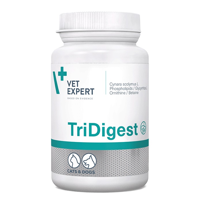 VET EXPERT TRIDIGEST ΣΥΜΠΛΗΡΩΜΑ ΔΙΑΤΡΟΦΗΣ ΣΚΥΛΟΥ ΓΑΤΑΣ ΜΕ ΔΥΣΑΝΕΞΙΑ ΠΕΠΤΙΚΕΣ ΔΙΑΤΑΡΑΧΕΣ ΠΑΓΚΡΕΑΤΙΚΗ ΑΝΕΠΑΡΚΕΙΑ DOGGER.GR